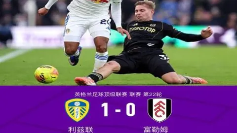 猛龙对决太阳：信心十足NBA分析